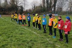 1a-campestre-bascape-101