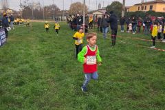 1a-campestre-bascape-18