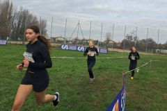 1a-campestre-bascape-28