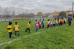 1a-campestre-bascape-29