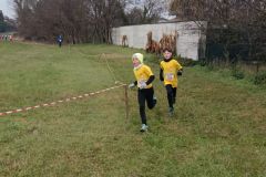 1a-campestre-bascape-3