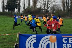 1a-campestre-bascape-40