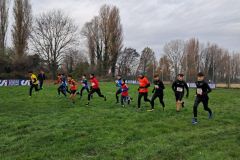 1a-campestre-bascape-42