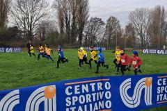 1a-campestre-bascape-44