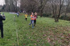 1a-campestre-bascape-50