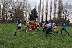 1a-campestre-bascape-52