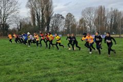 1a-campestre-bascape-60