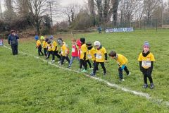 1a-campestre-bascape-68