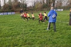 1a-campestre-bascape-8