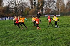 1a-campestre-bascape-88