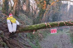 2a_campestre_castiglione_251214-35