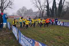 4a-campestre-pieve-e-080226-22