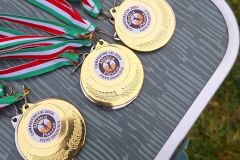 4a-campestre-pieve-e-080226-56