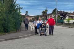 91d1858f-99be-4d35-9194-042b49e3ee4c