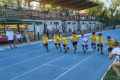AsO26-41