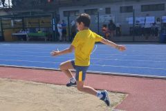 3apista2026-53