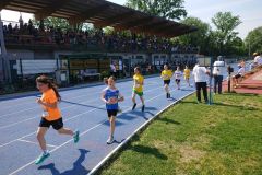 3apista2026-78