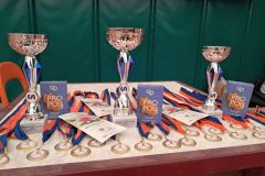 premiazioni-bagnolo.251115-28