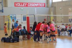 N.2-Sport-In-Festa-2017-Meeting-Polisportivo-Giovanile-23-Aprile-2017-81