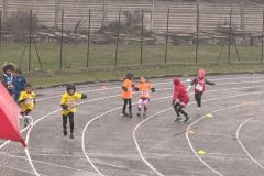 staffettone-bagnolo-251115-25