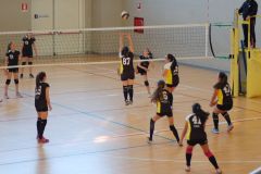 N.2-Sport-In-Festa-2017-Meeting-Polisportivo-Giovanile-23-Aprile-2017-118