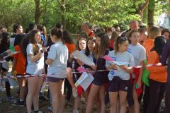 N.2-Sport-In-Festa-2017-Meeting-Polisportivo-Giovanile-23-Aprile-2017-17