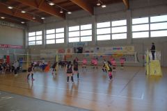 N.2-Sport-In-Festa-2017-Meeting-Polisportivo-Giovanile-23-Aprile-2017-92