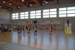 N.2-Sport-In-Festa-2017-Meeting-Polisportivo-Giovanile-23-Aprile-2017-93